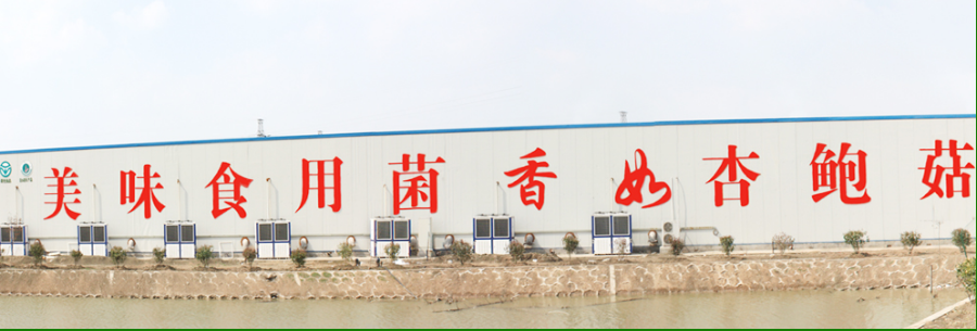 1524912267385770.png 1524912267385770.png