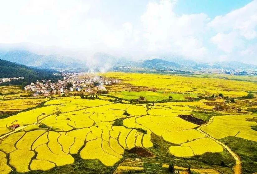 1683687084204204.jpg 1683687084204204.jpg